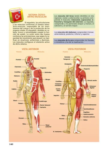 Aplicación Cuerpo Humano