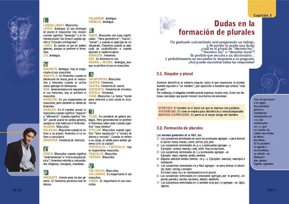 Consultor Práctico de Dudas del Idioma