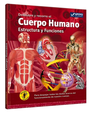 Descubre y recorre el Cuerpo Humano Estructura y Funciones