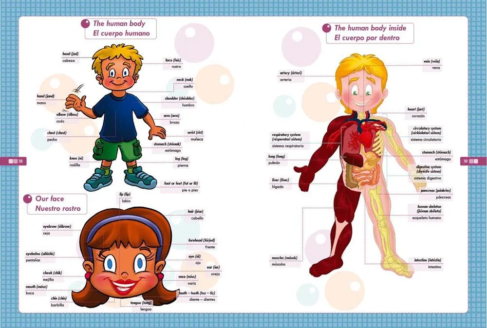 Gran Diccionario Visual de Inglés - Español para niños