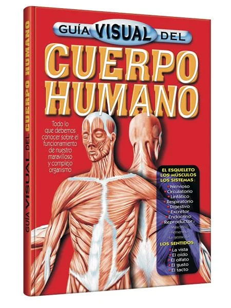 Guía Visual del Cuerpo Humano