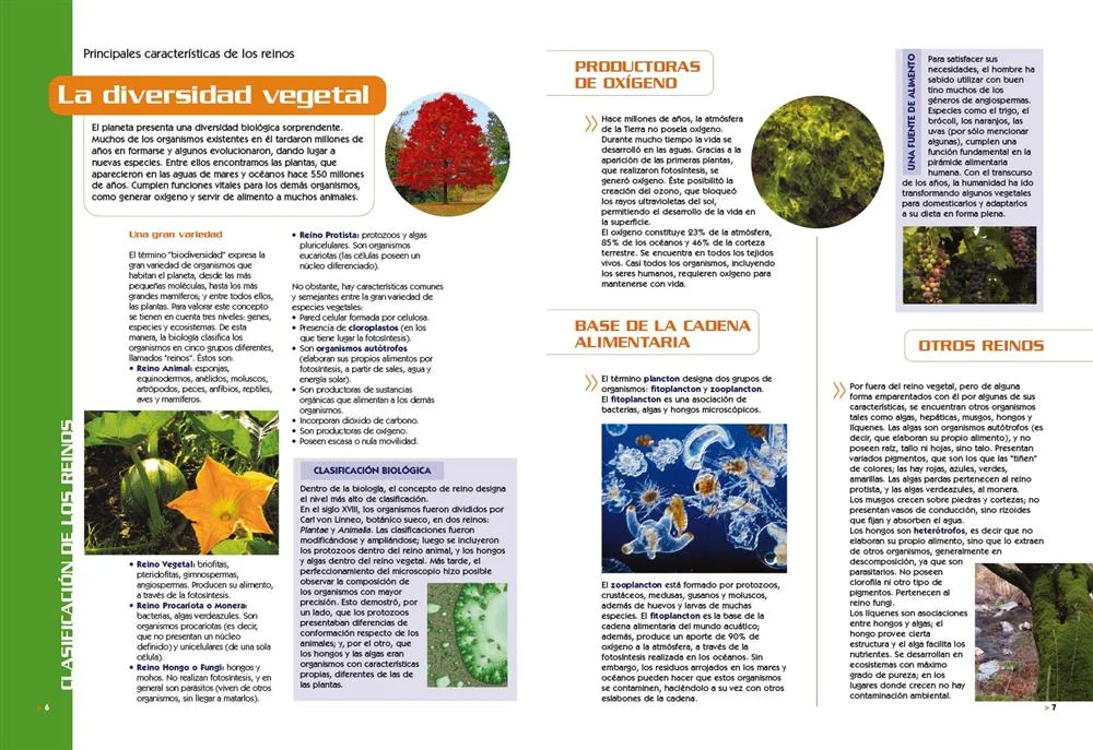 Guía Visual del Mundo Vegetal