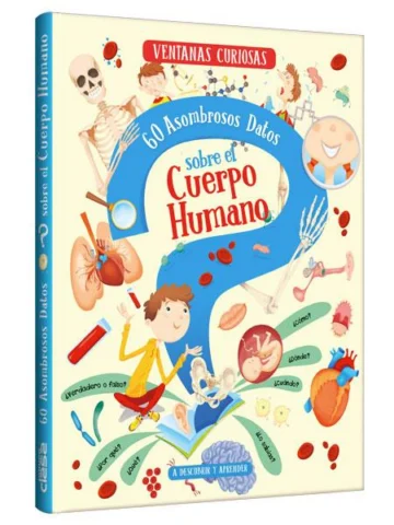 Ventanas Curiosas 60 Asombrosos datos sobre el cuerpo humano