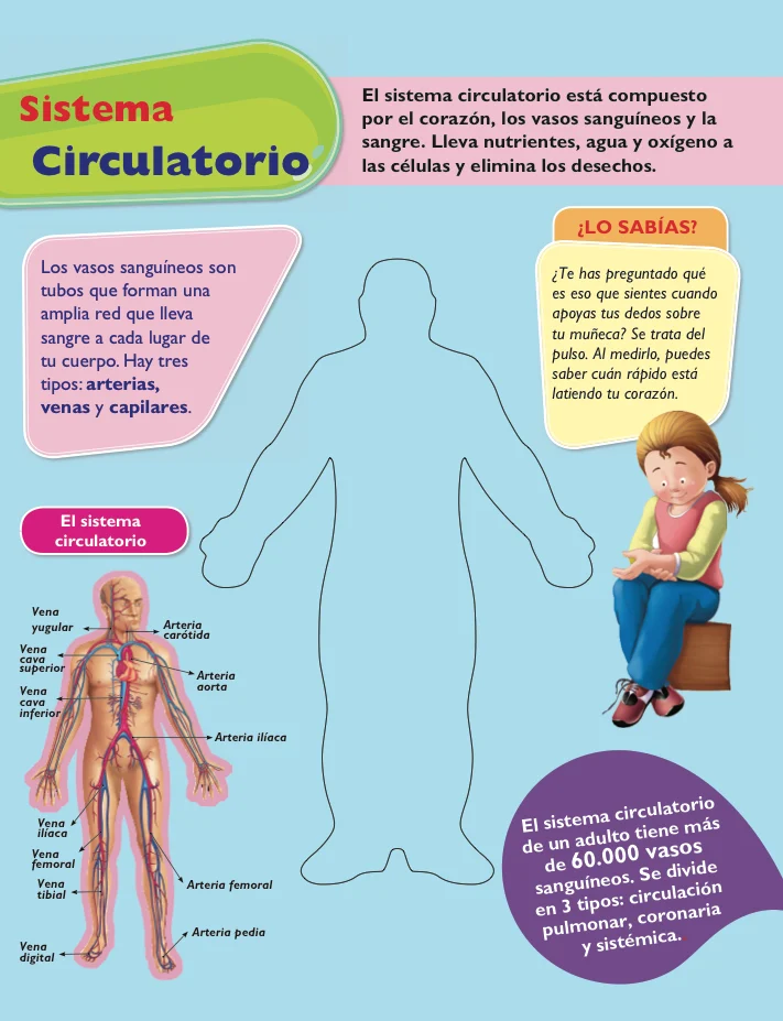 Viaje al centro del Cuerpo Humano